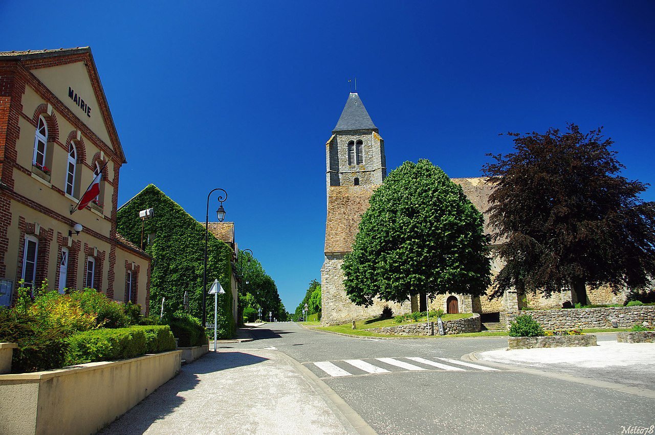 Désinsectisation dans les Yvelines 78 - Votre spécialiste certifié