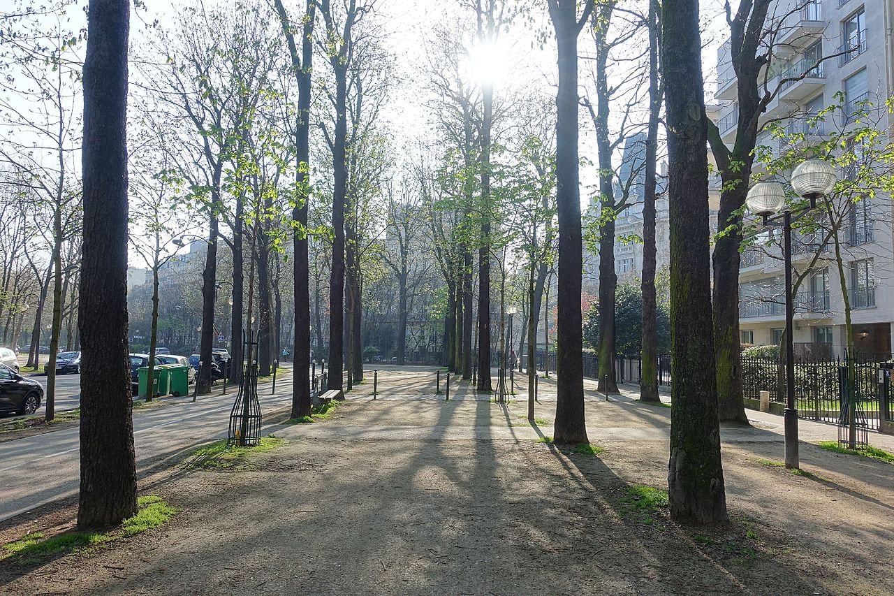 Dératisation Paris 16 - Extermination Rats et Souris 75016