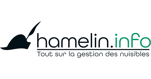 hamelin
