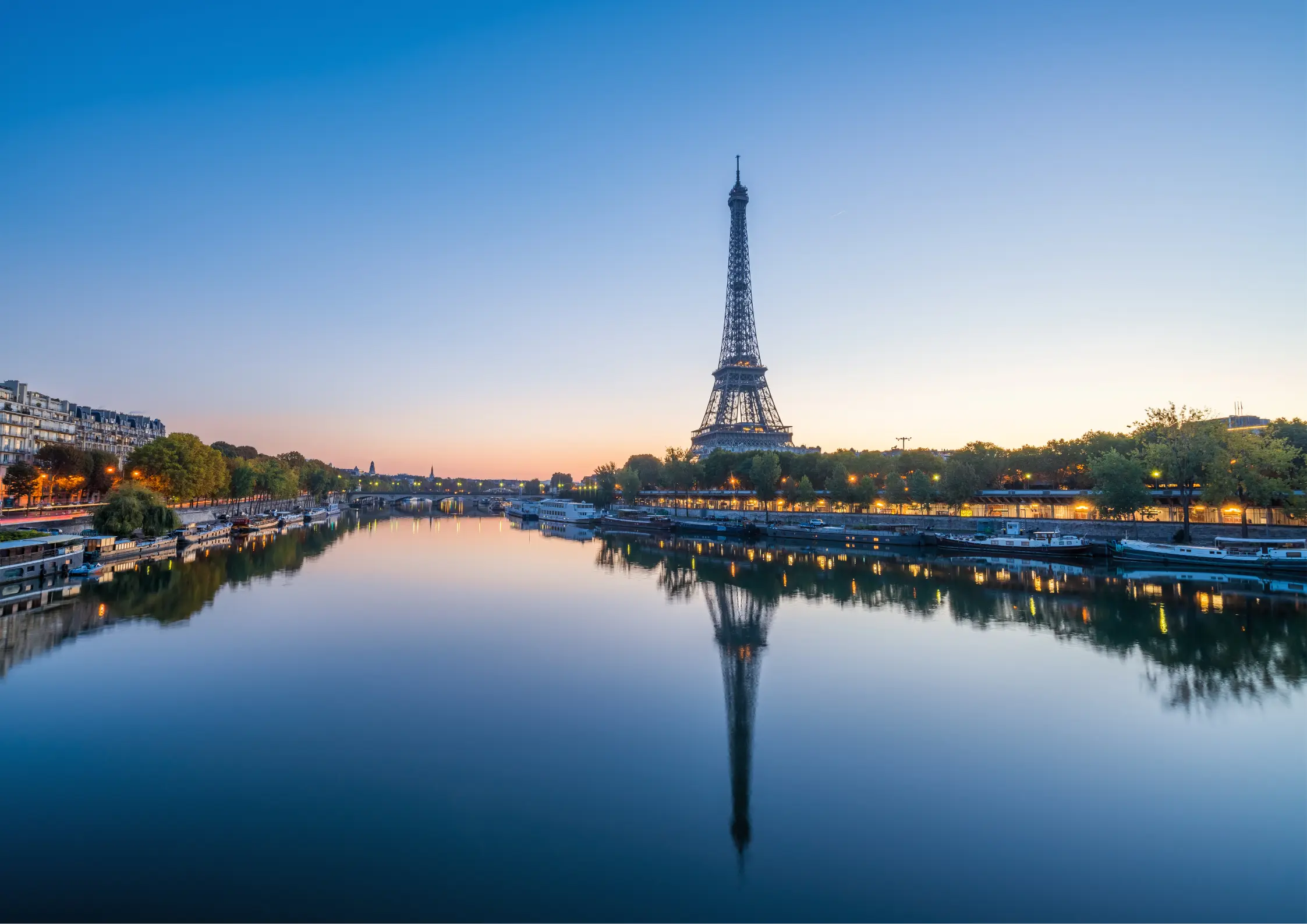 Destruction des Nids de Frelons et Guêpes à Paris