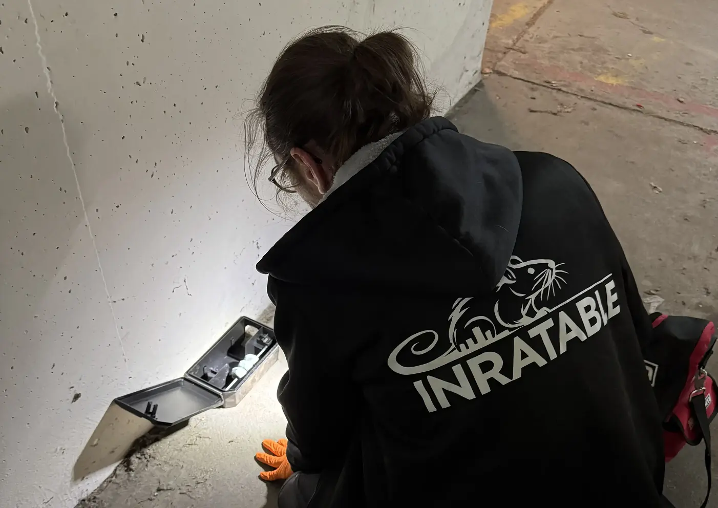 Technicien posant un piège à rats dans une cave à Paris