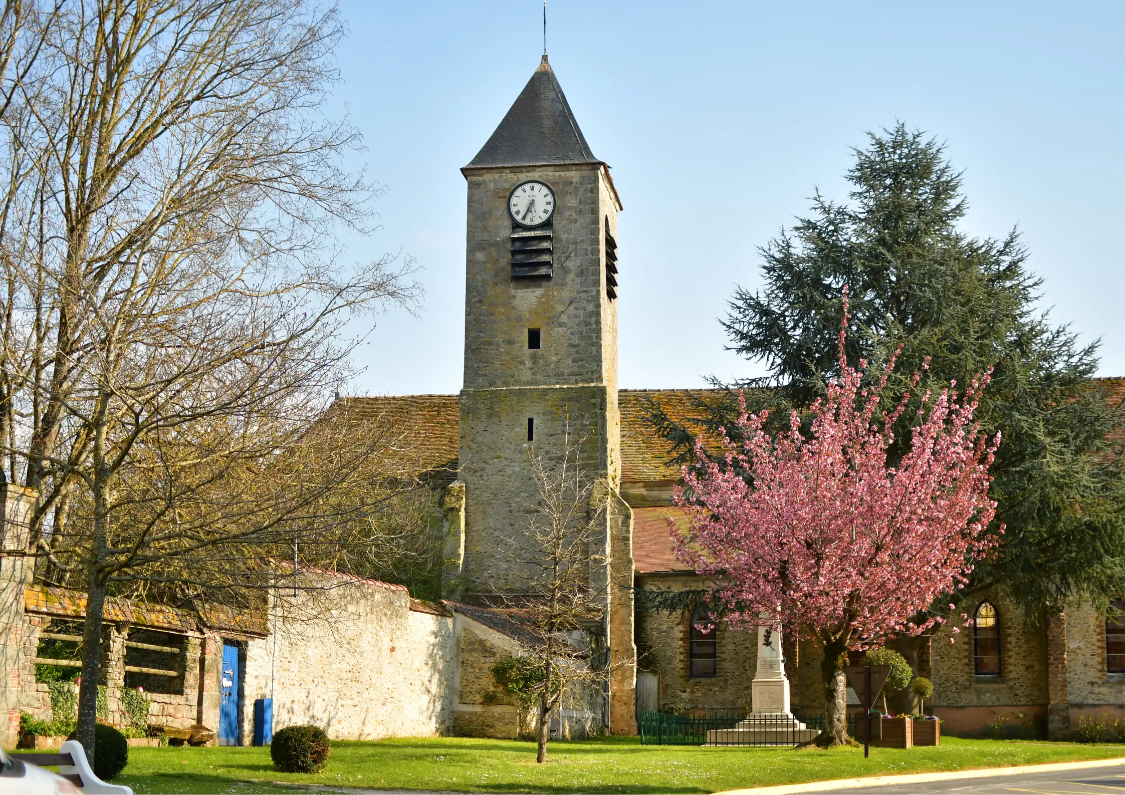 Dératisation Seine-et-Marne 77