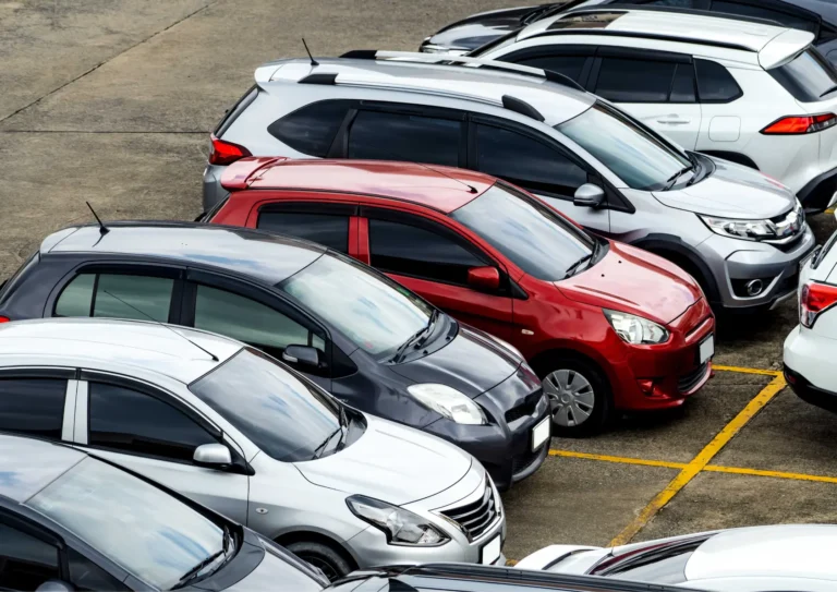 rongeur compartiment moteur voiture à Paris