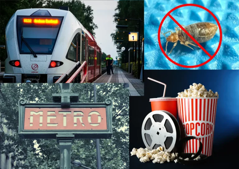 Punaises de lit après un cinéma, le train ou le métro