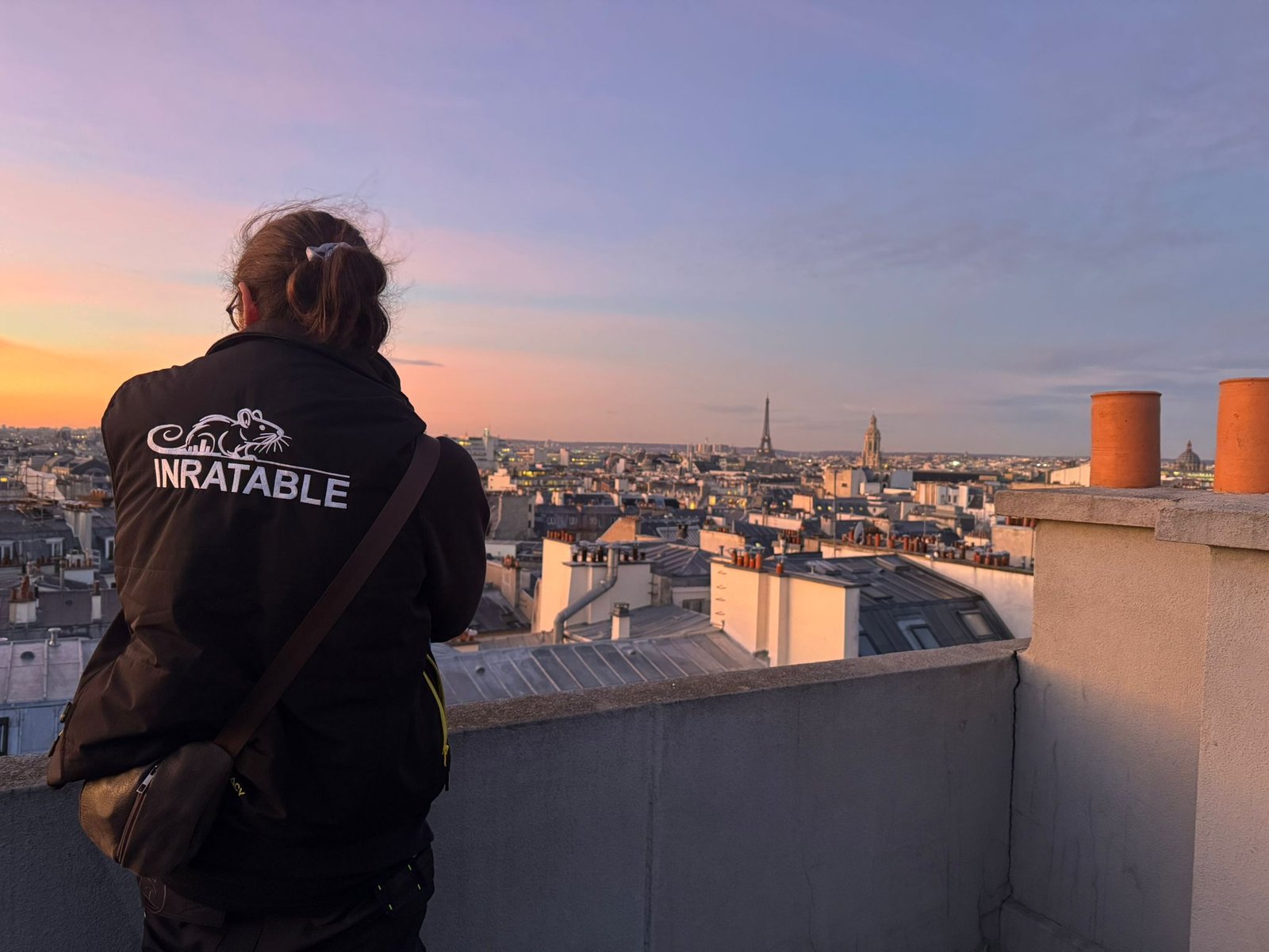 Entreprise spécialisée dans le traitement des nuisibles à Paris