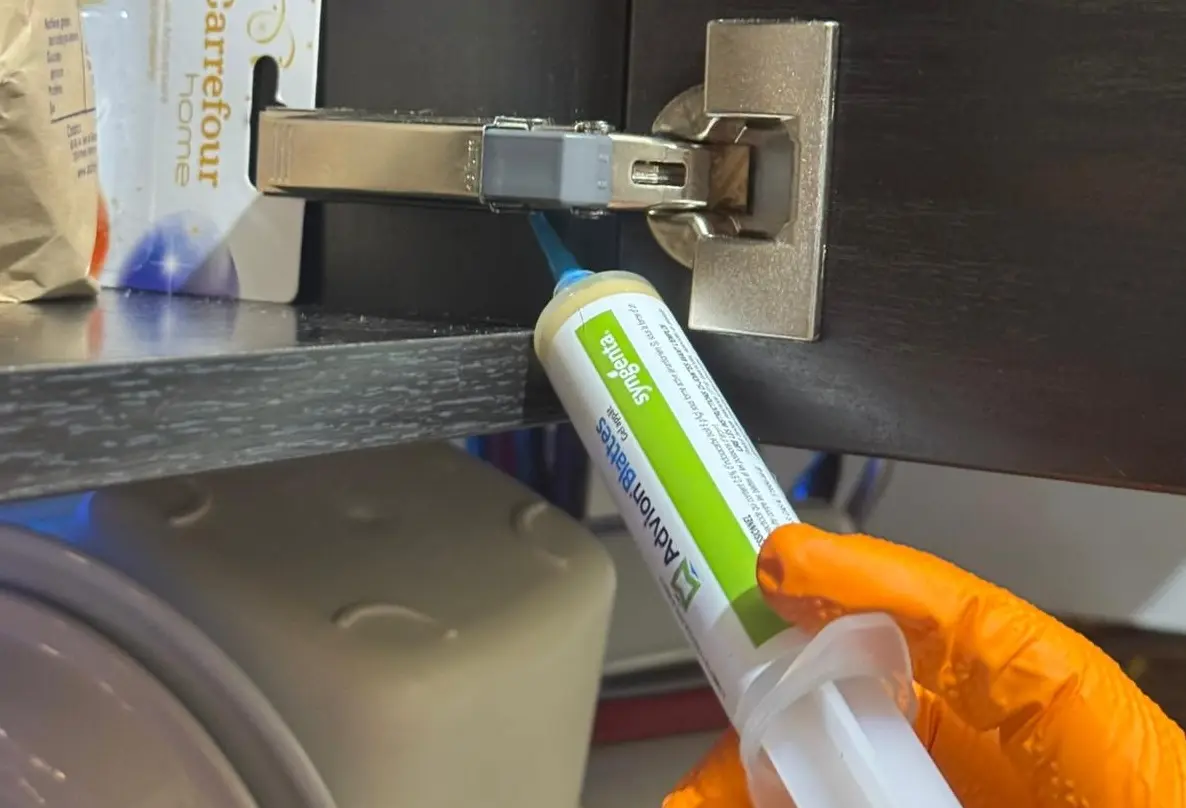 Application de gel anti-cafard professionnel