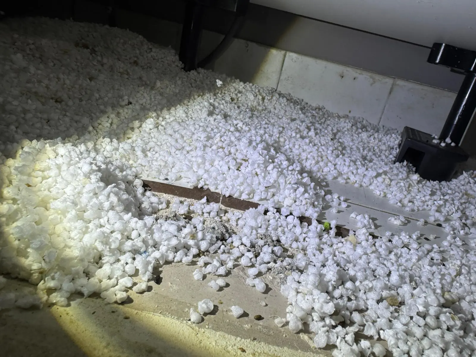 Isolant rongé sous un meuble de cuisine par des souris