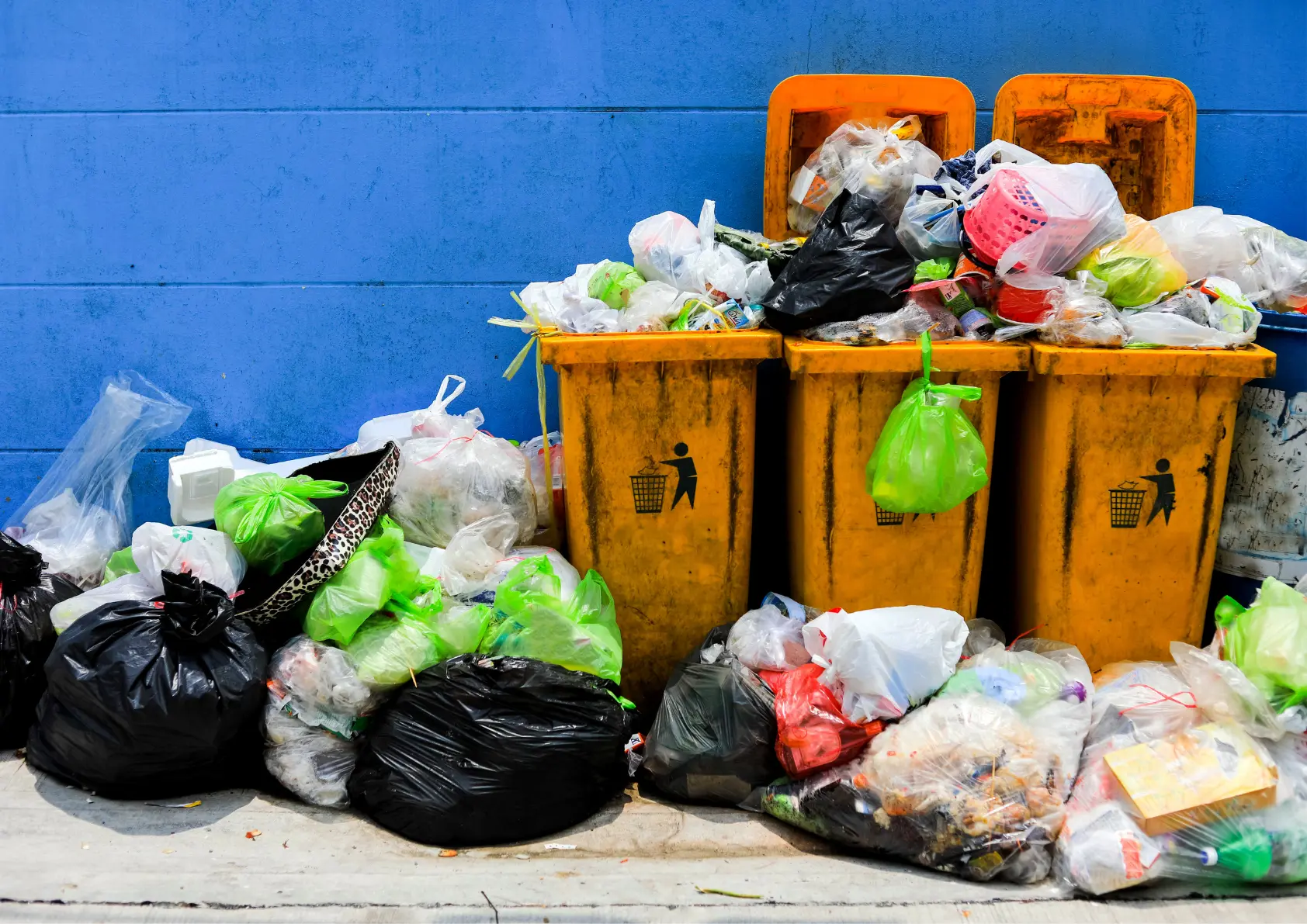 Local poubelle copro Paris