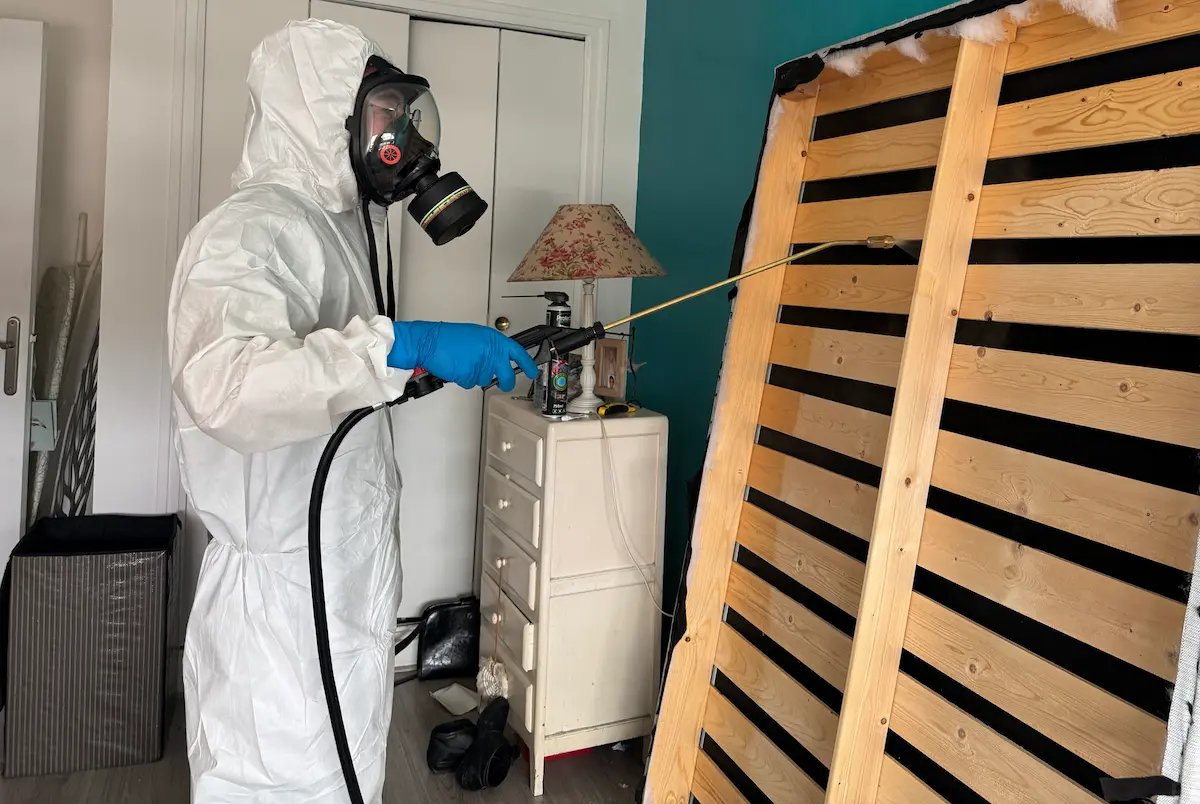 Traitement anti punaises de lit pulvérisation à Paris