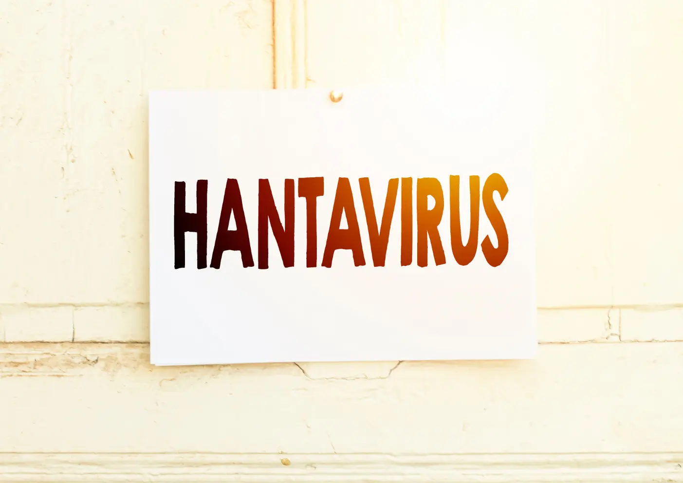 Hantavirus 2026