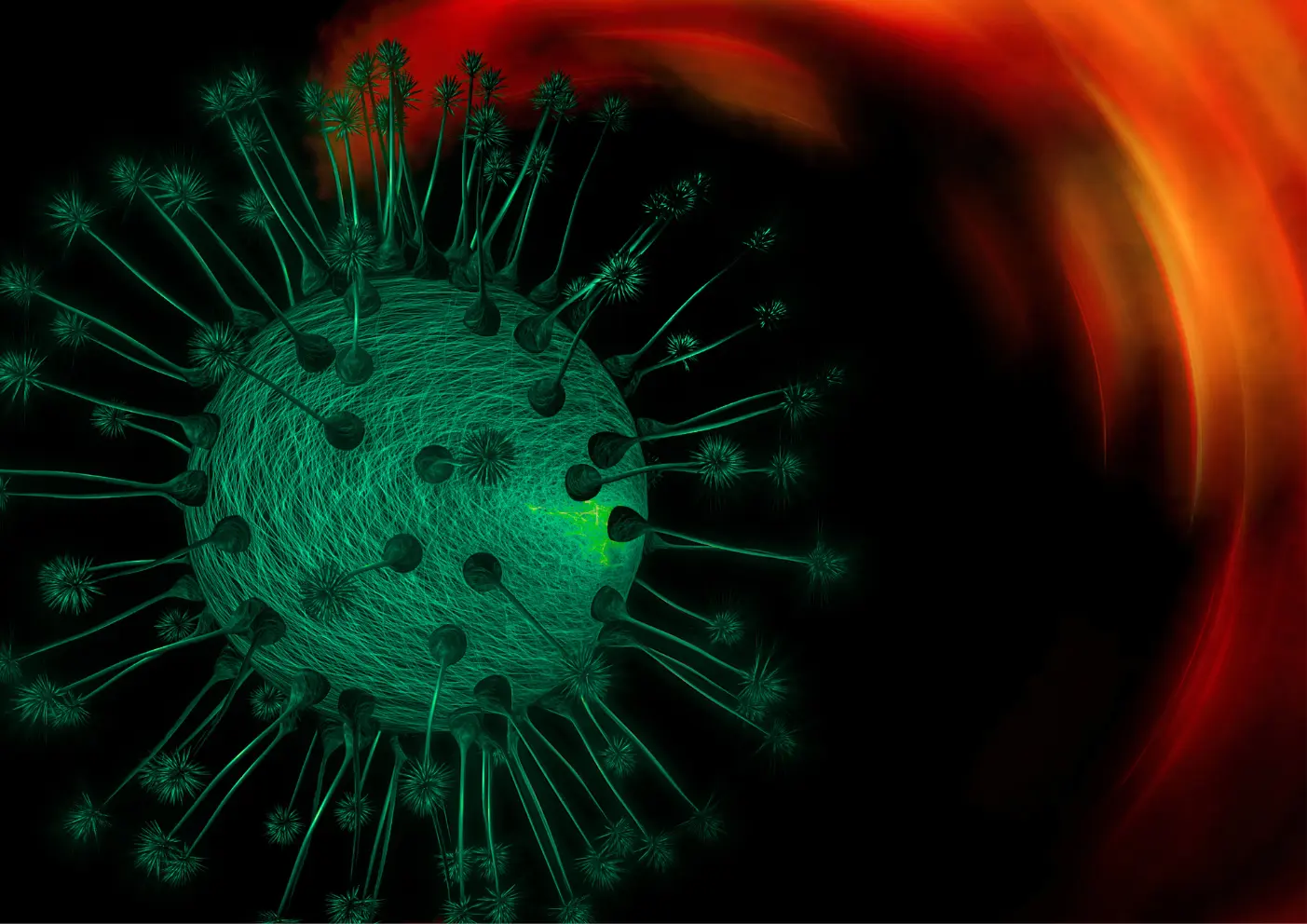 Hantavirus et contamination environnementale