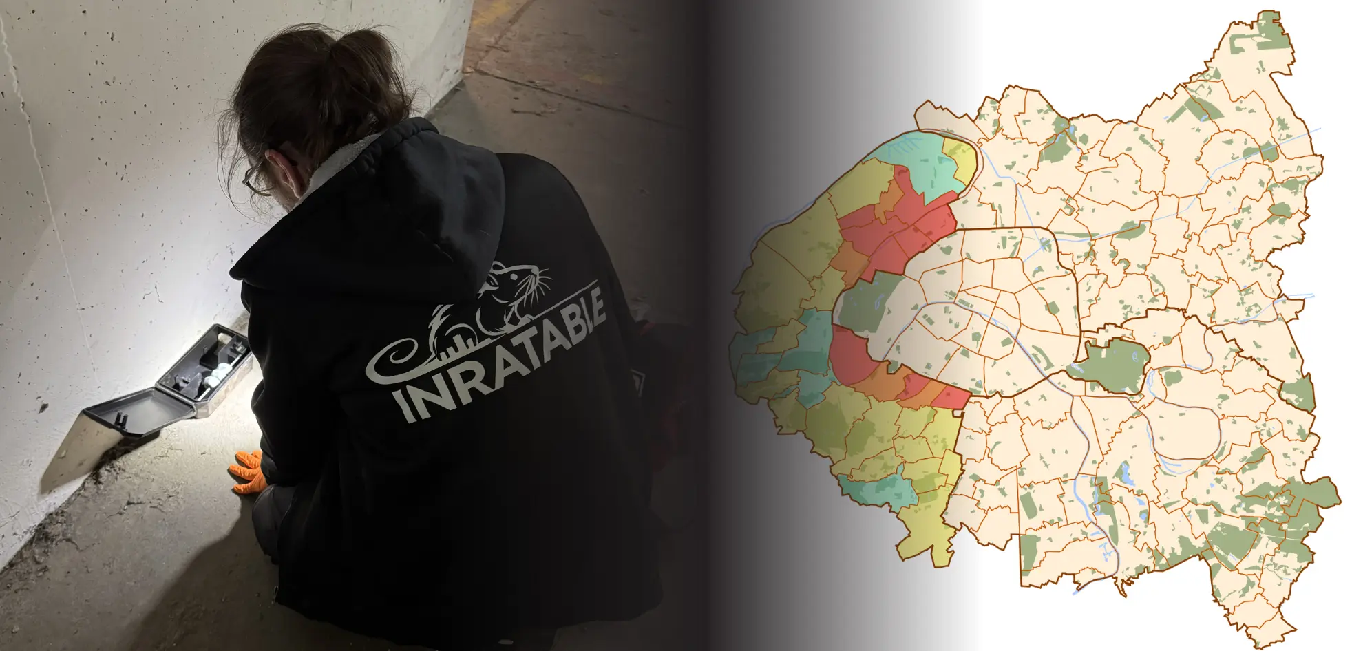 Dératisation dans les Hauts-de-Seine 92 contre les rats et les souris