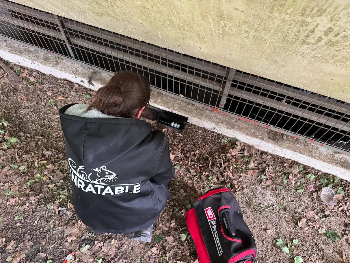 Dératisation dans les Hauts-de-Seine 92 contre les rats et les souris
