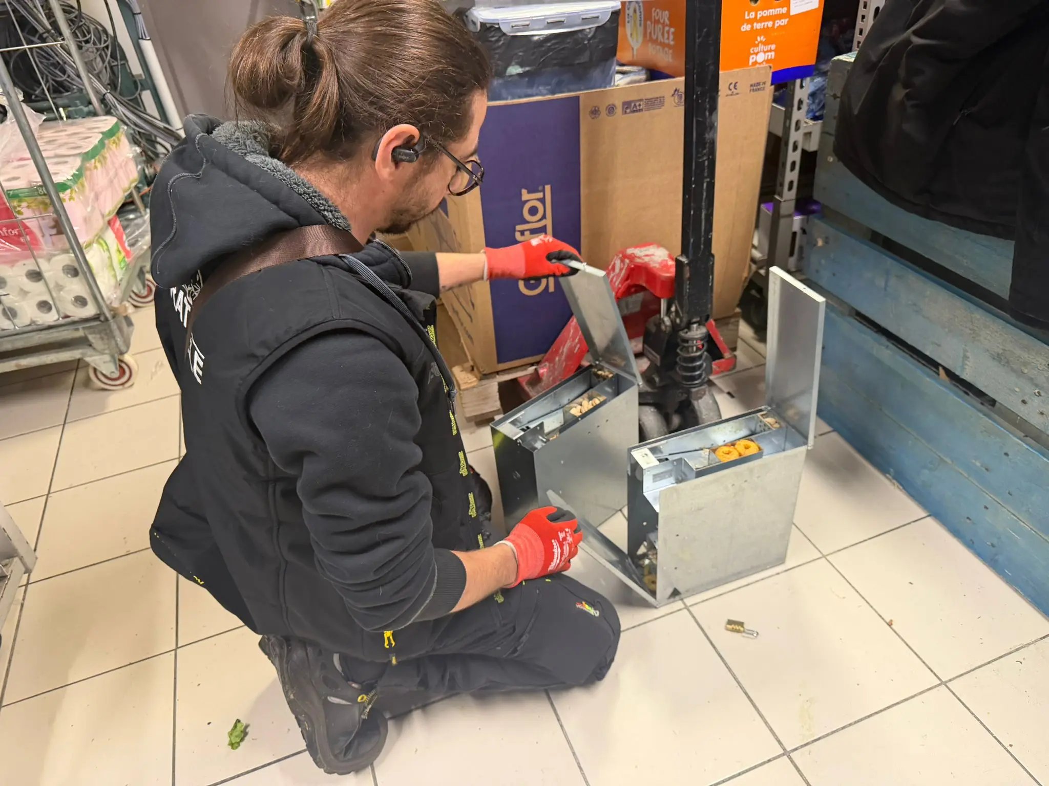 Intervention de désinsectisation dans le cadre d’un contrat professionnel anti-nuisibles