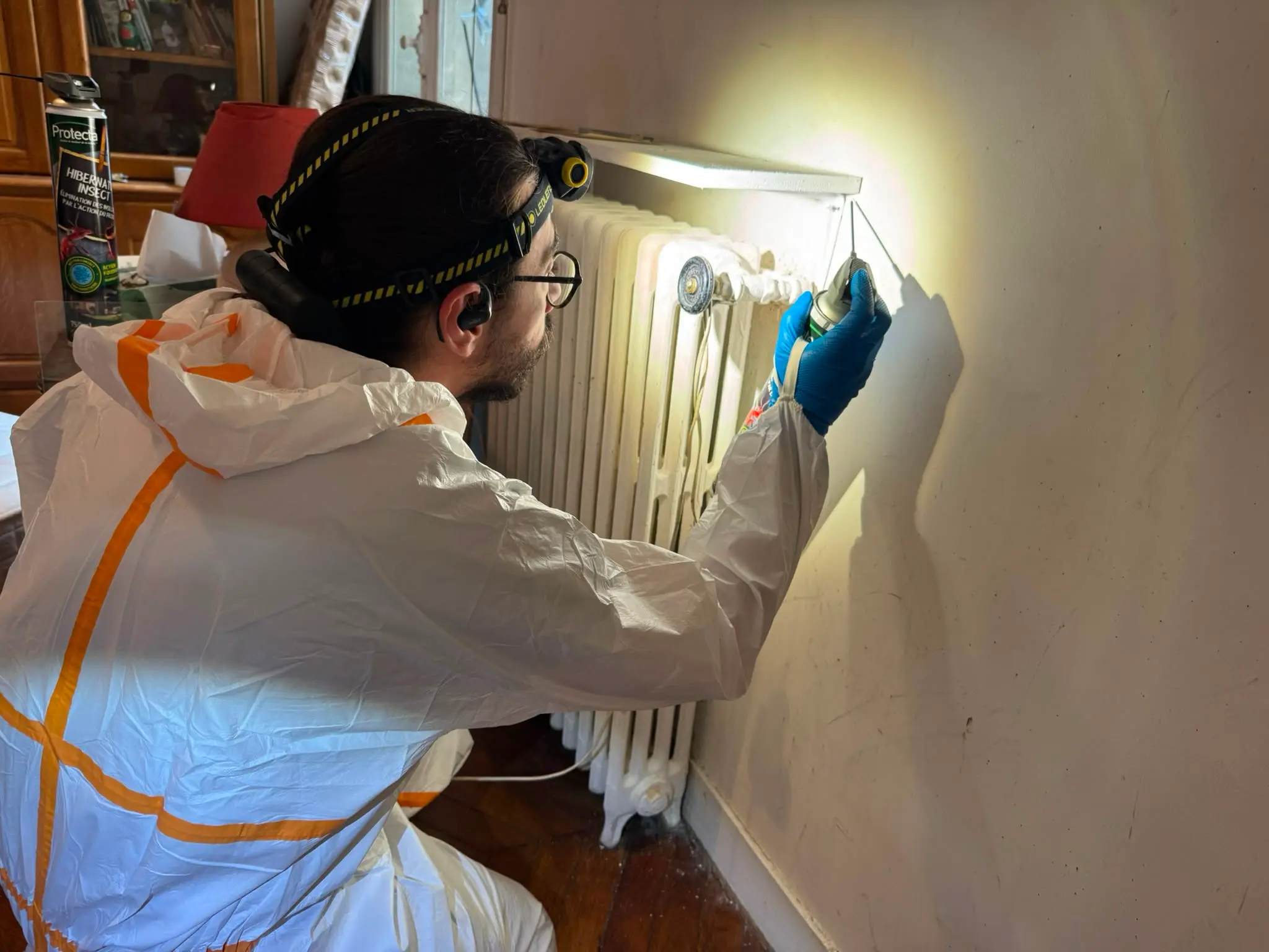 Professionnel de la désinsectisation lors d’un traitement contre les insectes nuisibles
