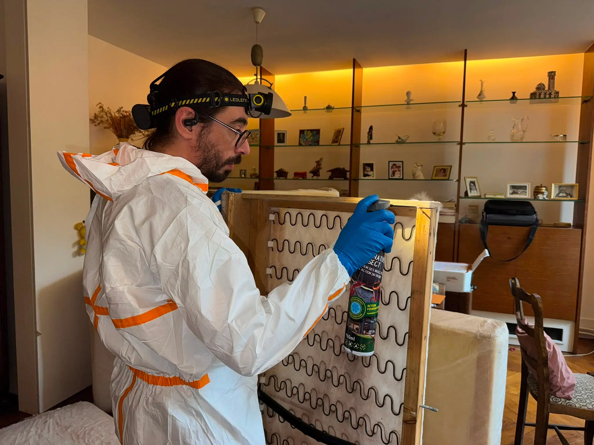 Intervention professionnelle pour traiter un problème de nuisibles