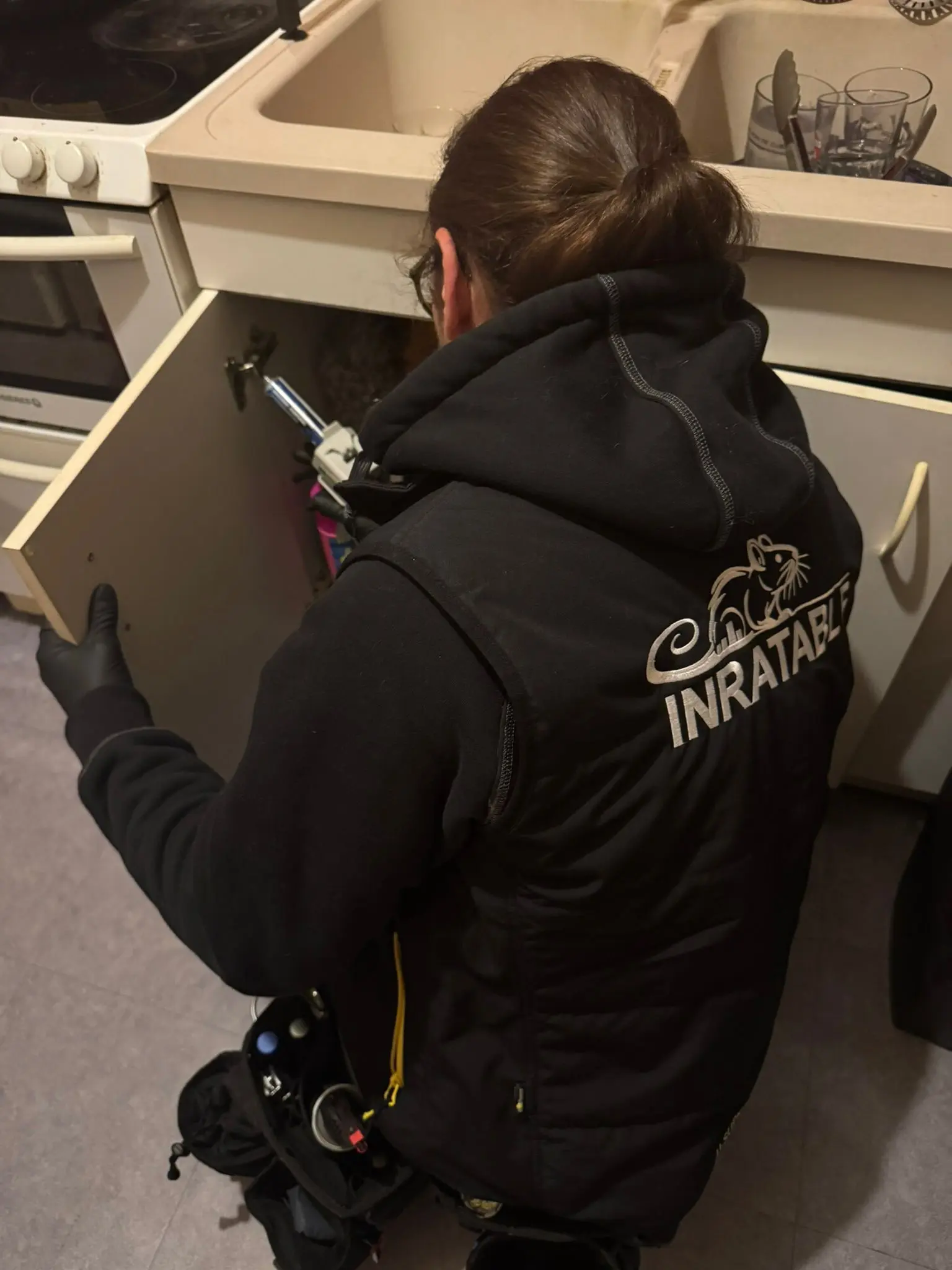 Intervention Inratable après la découverte d’un cafard isolé dans un logement
