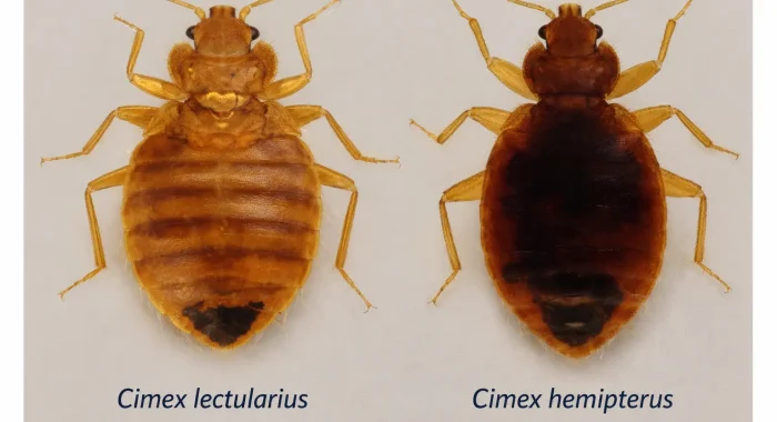 ChatGPT Image 27 mars 2026, 21_13_27