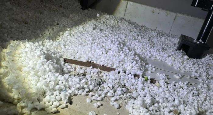 WhatsApp Image 2026-02-08 at 10.33.55