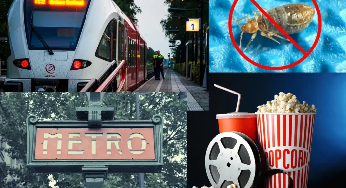 Punaises de lit après un cinéma, le train ou le métro